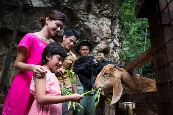 Feeding the animals at the petting zoo