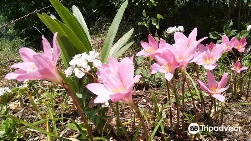 cost for family, couples or single when travelling to Nainital