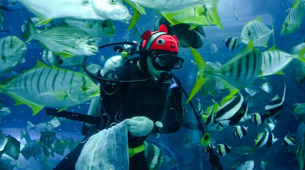 海洋生物博物館