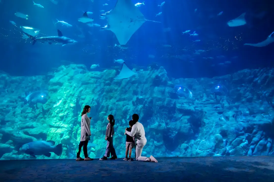 Other attractions in Hong Kong