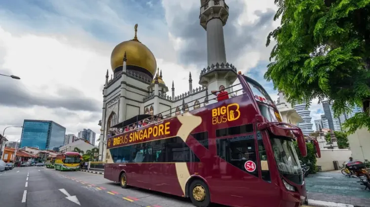 Singapore Changi Airport Transport | Bus