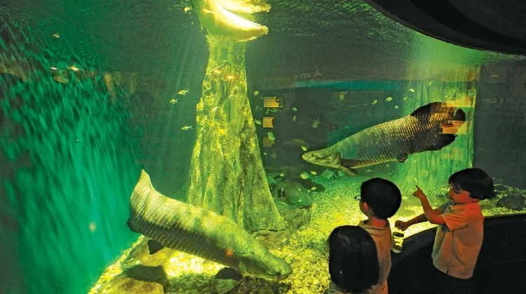 Waktu Operasi Aquaria KLCC?