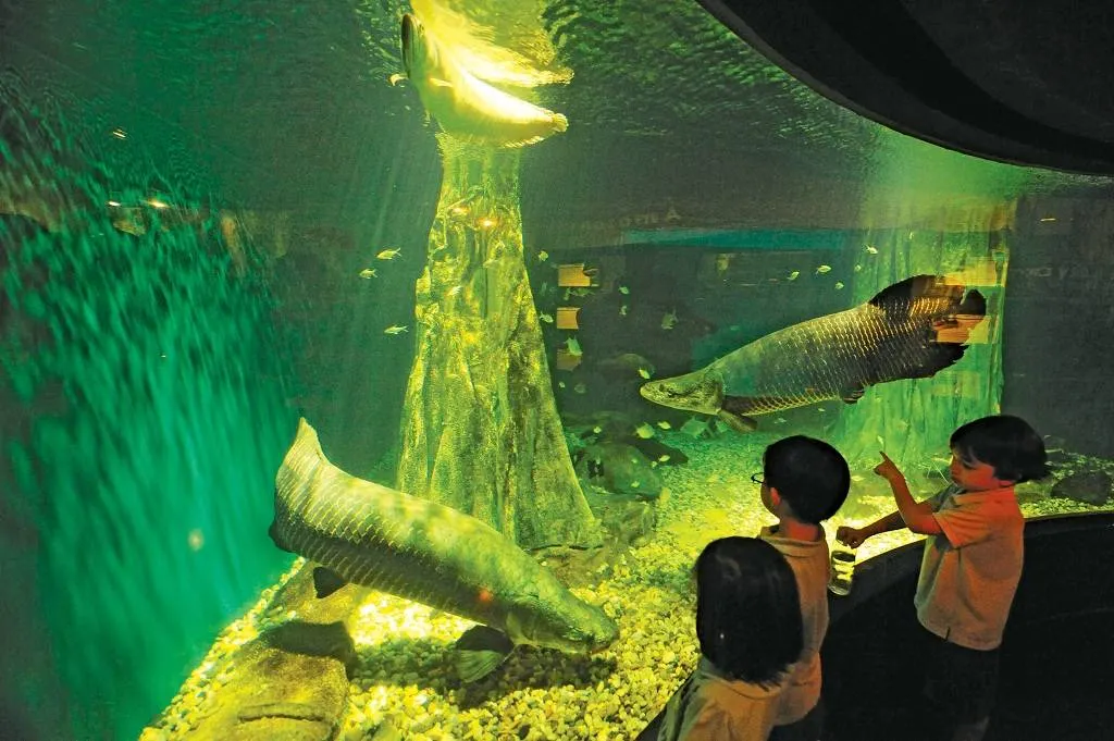 Apa itu Aquaria KLCC?