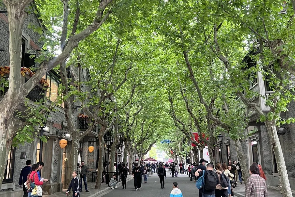 ซินเทียนตี้ (Xin Tian Di) (29 )