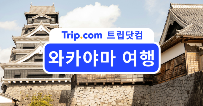 와카야마 여행, 꼭 가봐야 할 숨은 명소에서 온천까지 | 트립닷컴