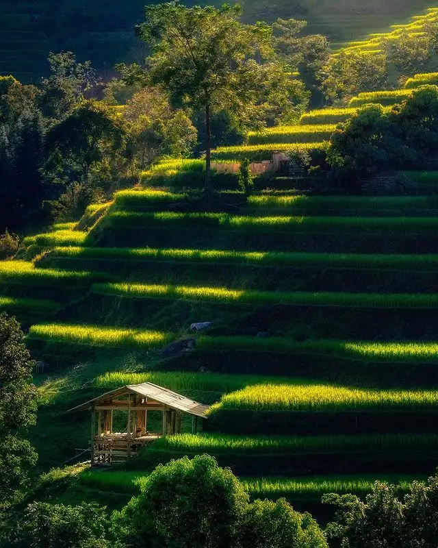 du lịch hà giang hoàng su phì