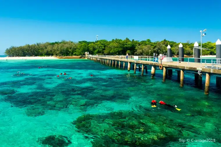 Cairns Attraction - Green Island