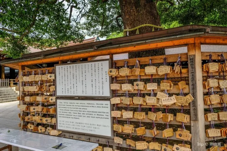 Tips for Weather in Japan in July