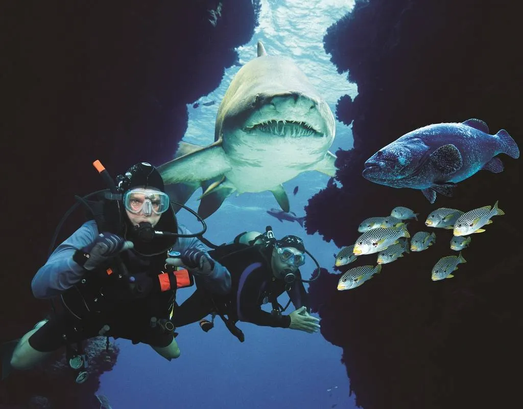 Hal-hal yang dapat dilakukan di Aquaria KLCC