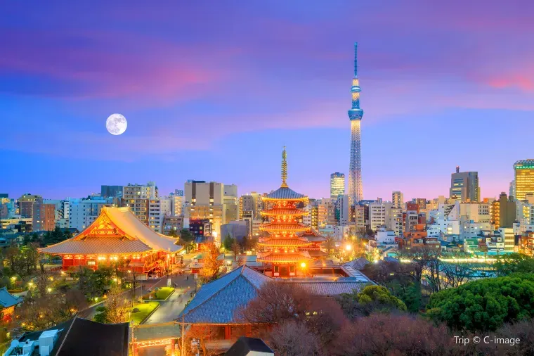 Other attractions in Tokyo
