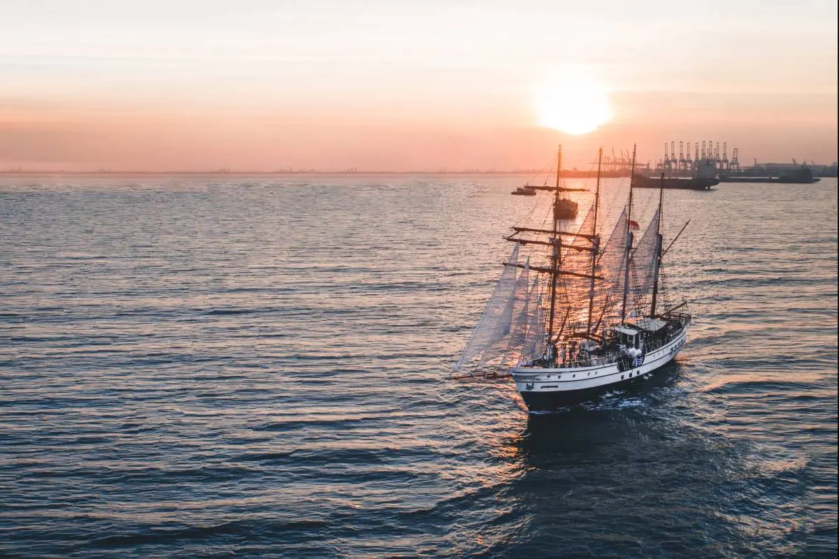 Best time to go to Royal Albatross