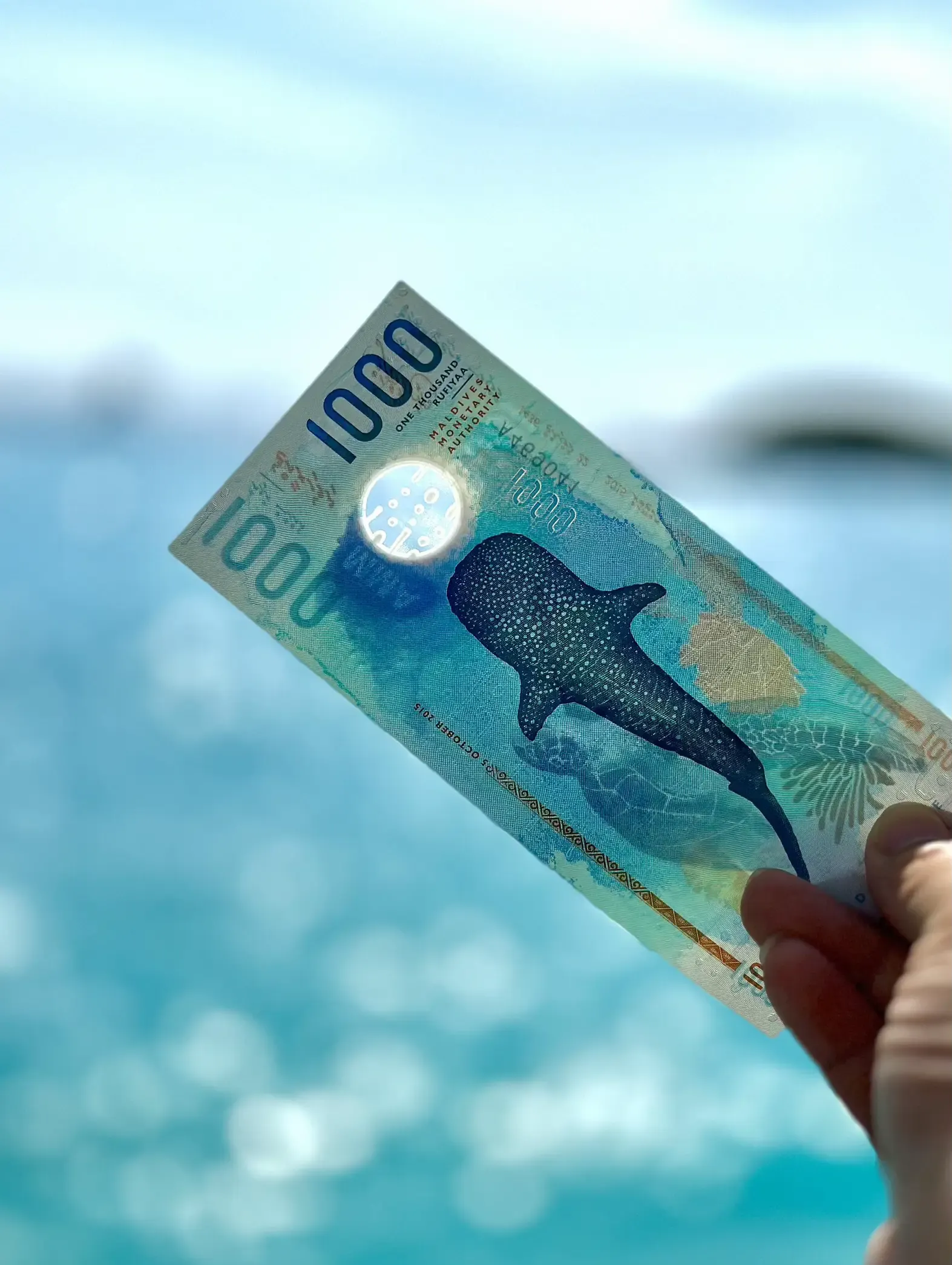 「世界一美しい」と称されるモルディブの紙幣