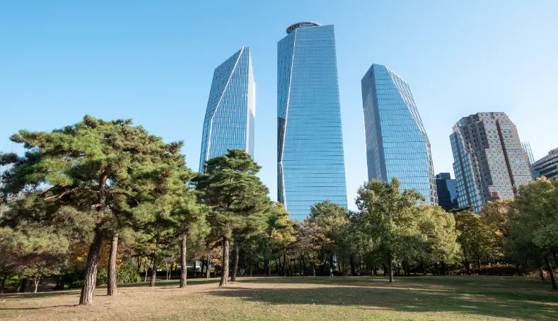 Gangnam: The Luxury Heart of Seoul