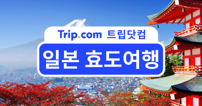 일본 효도여행 정석! 칭찬받는 자녀들을 위한 3대 핵심 지역 | 트립닷컴