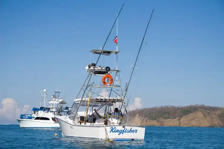 Kingfisher Sportfishing