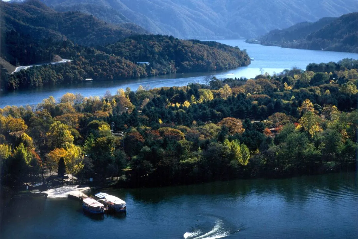 เกาะนามิ