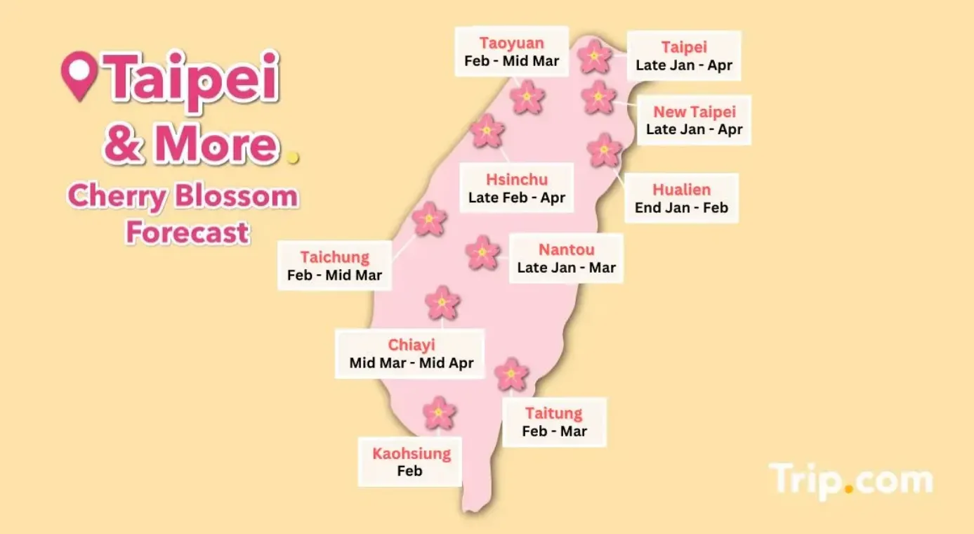 Cherry Blossom in Taiwan forecast