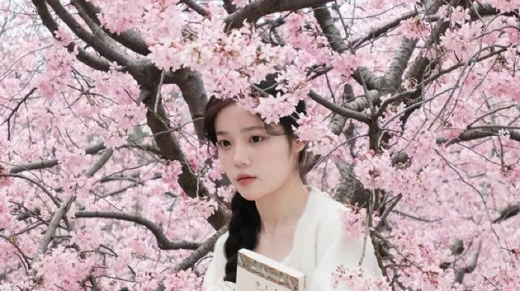 Photo Tips for Wuhan Cherry Blossom