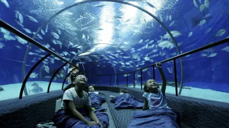 天気が雨の日に上海で楽しみたい3つのこと