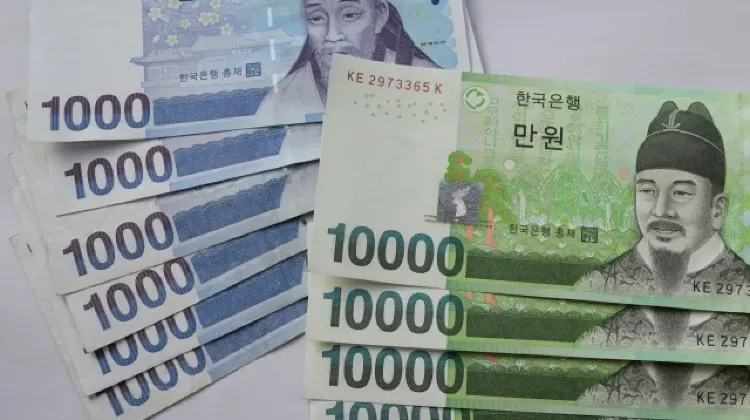 オルペミバスの料金