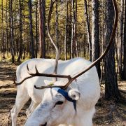 北森的旅行札记