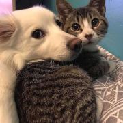 途旅(走遍祖国大好山河)