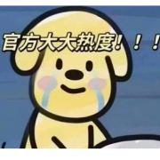 小琴的旅行日记
