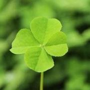 带你游遍中国美景