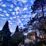 阿什利奥克斯范仁宽