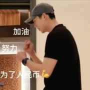 每天都想环游适界