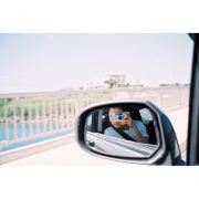 _WeChxxxx370768