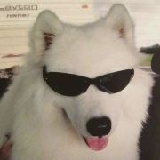 高空摄影师 匹丕