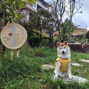 人见人爱的桃子🍑