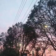 小颖带你去旅行