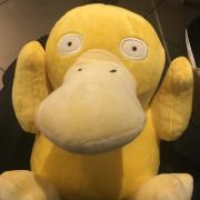 会飞天空下来的青柠檬