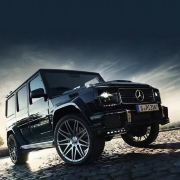 牵着小猪去环球