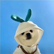 旅行不能忘学习