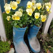 在路上的吃瓜人