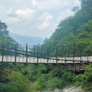 一个努力的小可爱