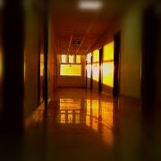 小小虎😽😾😾