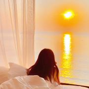 喵喵酒店体验者