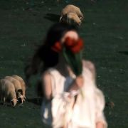 ⊹꙳ 打翻一罐心动✨