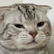 华县西门豹鹤归