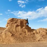 可乐-小八走天涯