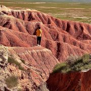 天津小黄人(全网同名)