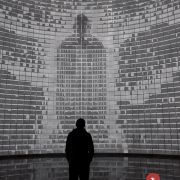 一生所有 爱与自由