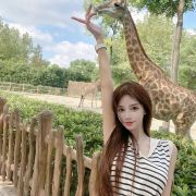 一只会在天空飞的鱼