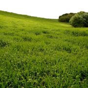 热爱生活、热爱社会、为幸福充满阳光