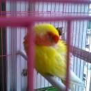 江西南昌阳光子