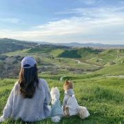 小热的种草旅游